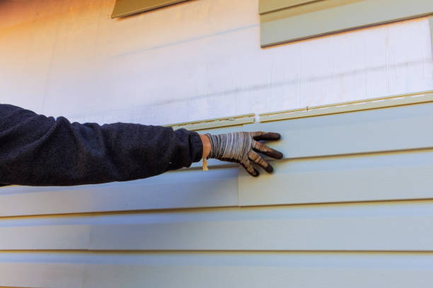 Best Siding Removal and Disposal  in Leonard, TX